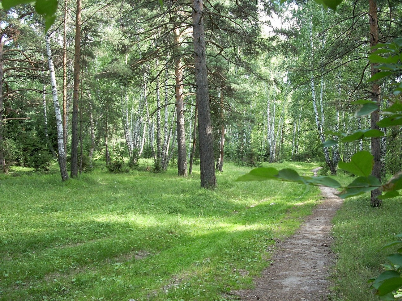 Грибово Фото 36823 Грибово Фото 89053