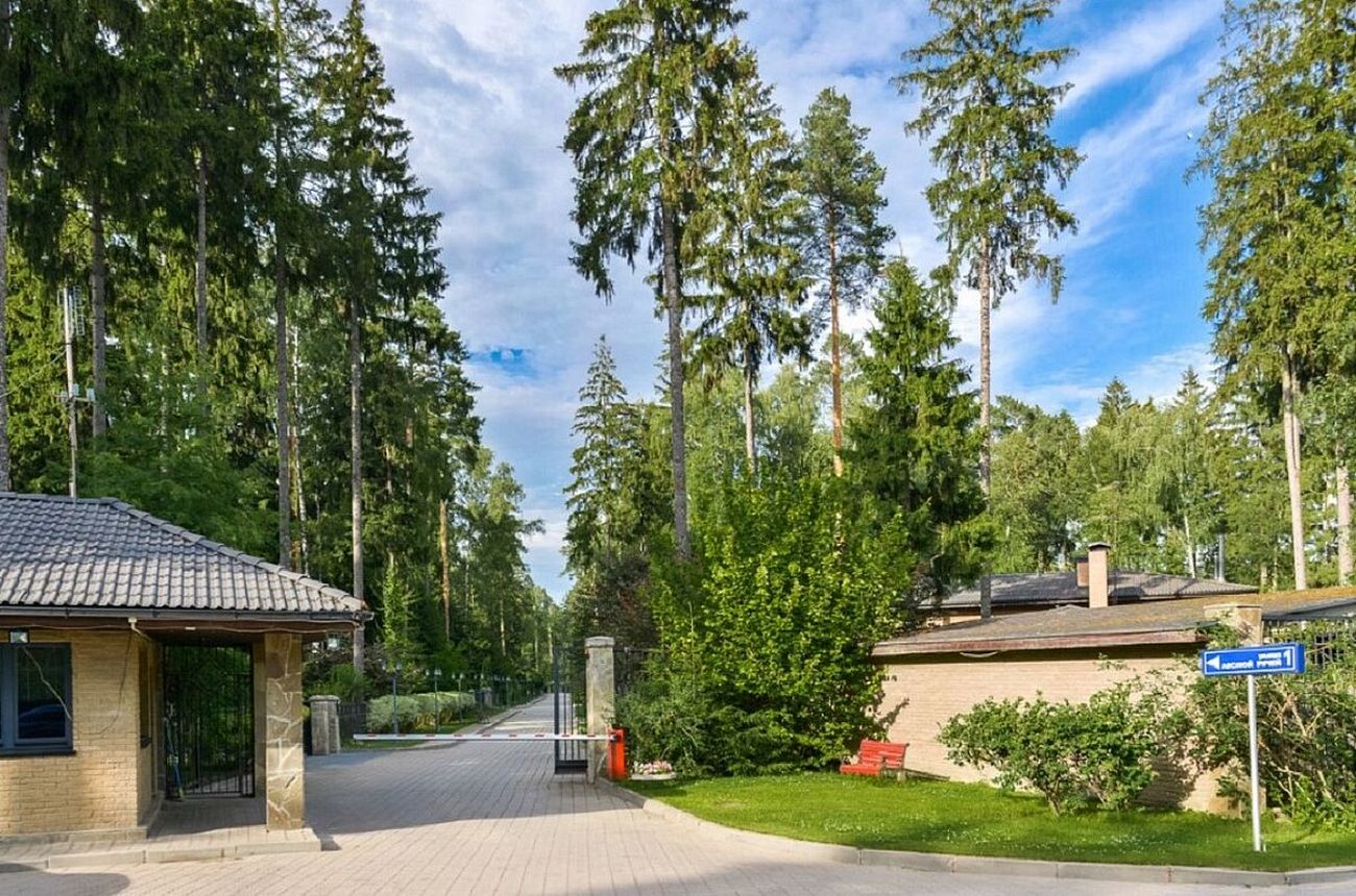 Грибово Фото 8525 Грибово Фото 86670